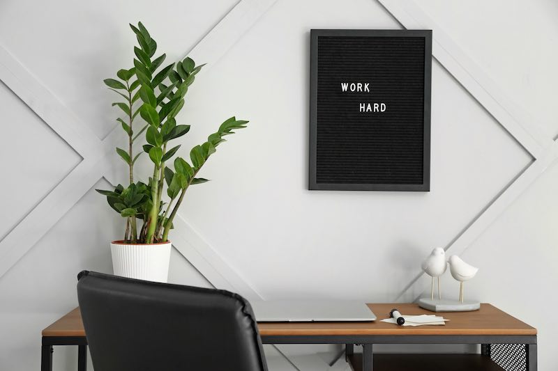 Top 10 Benefits Of Plants In The Office Go Minimalist Office
