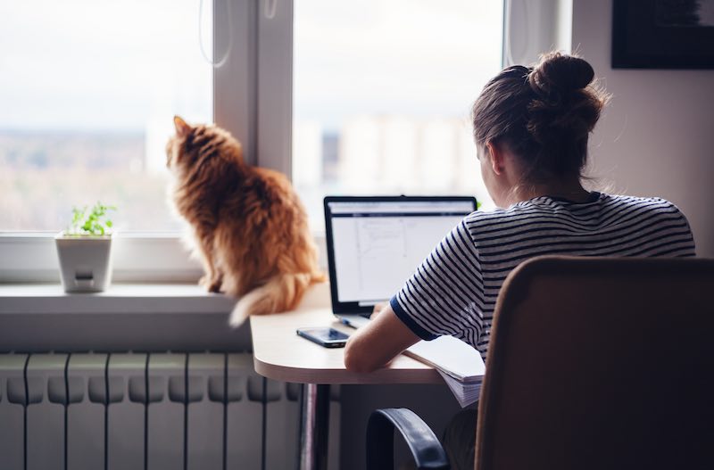Woman working from home with her cat
